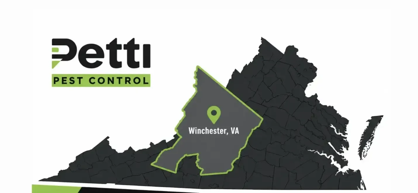 Petti Winchester Service Area