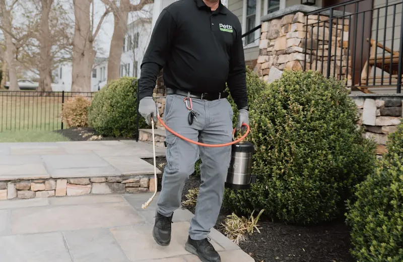Petti Pest Control exterminator