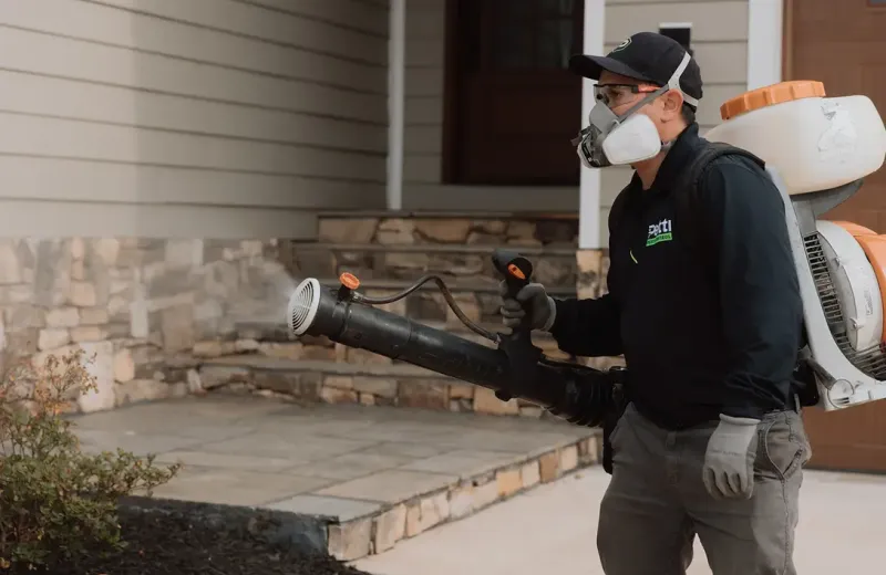 Petti Pest Control mosquito exterminator
