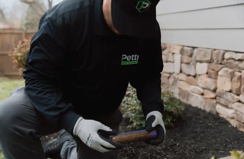 Petti Pest Control technician installing termite bait station