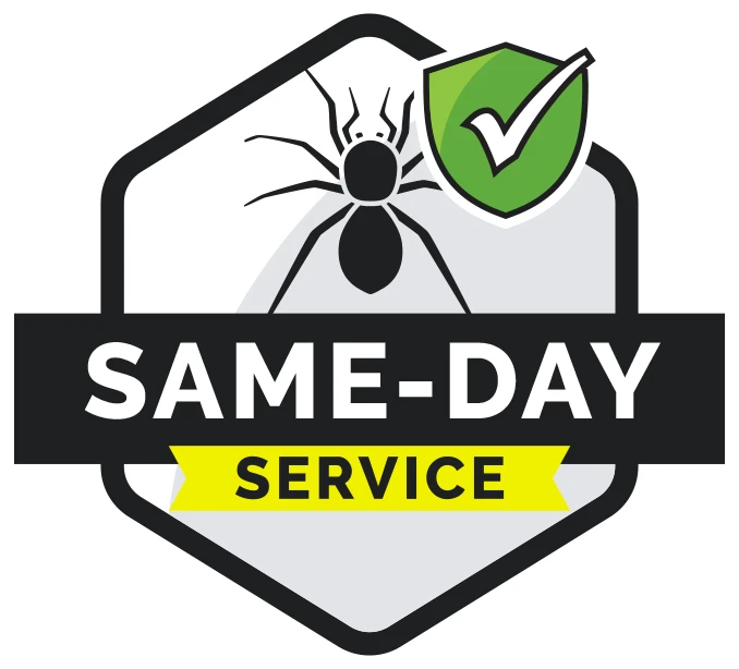 Same-Day Service Badge icon