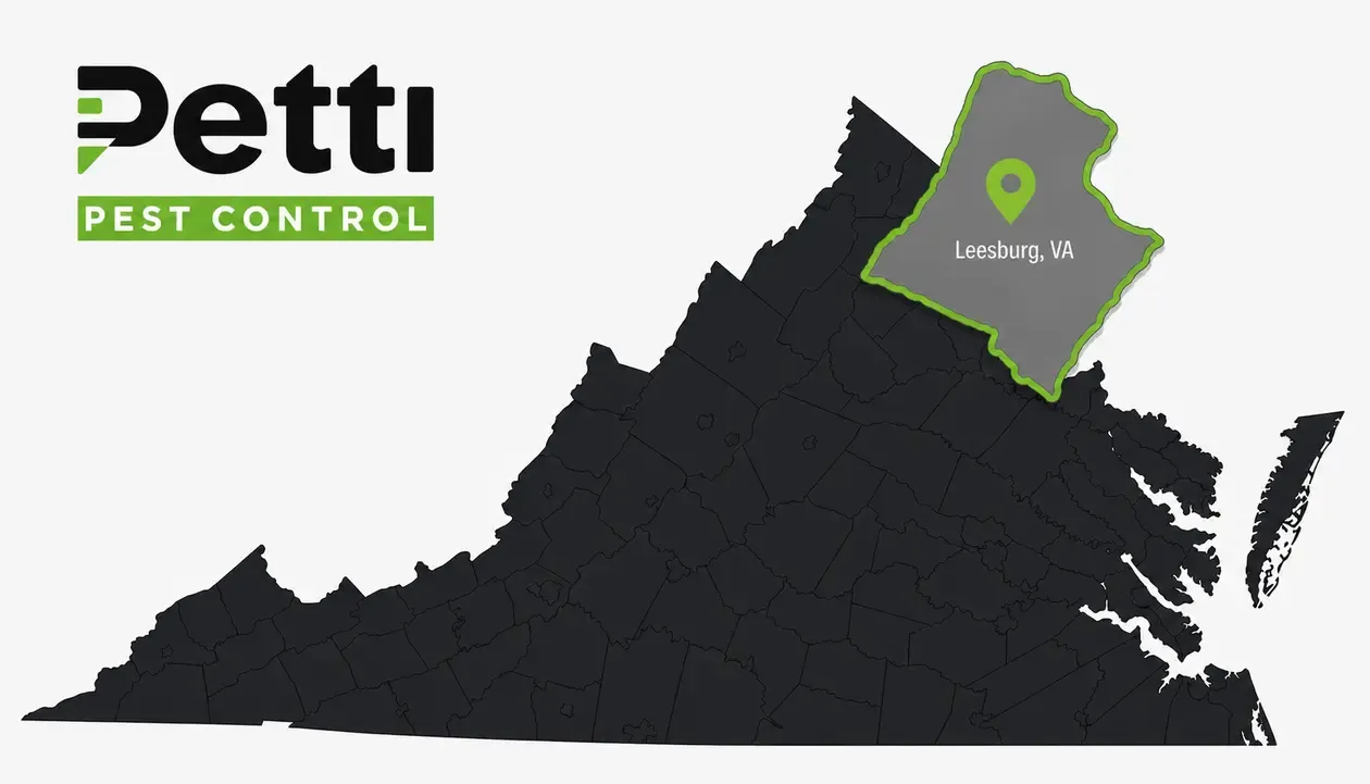 Leesburg service area