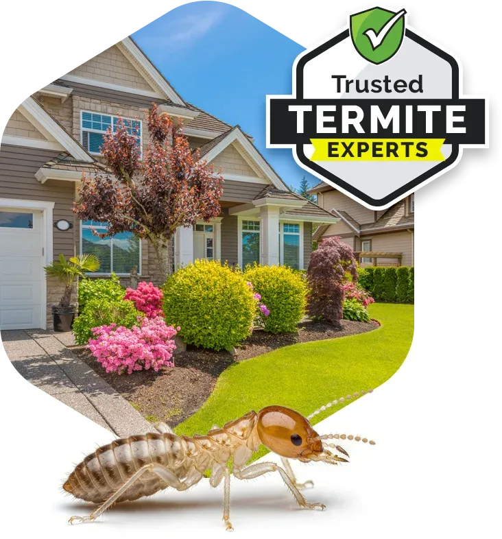 trusted termite experts