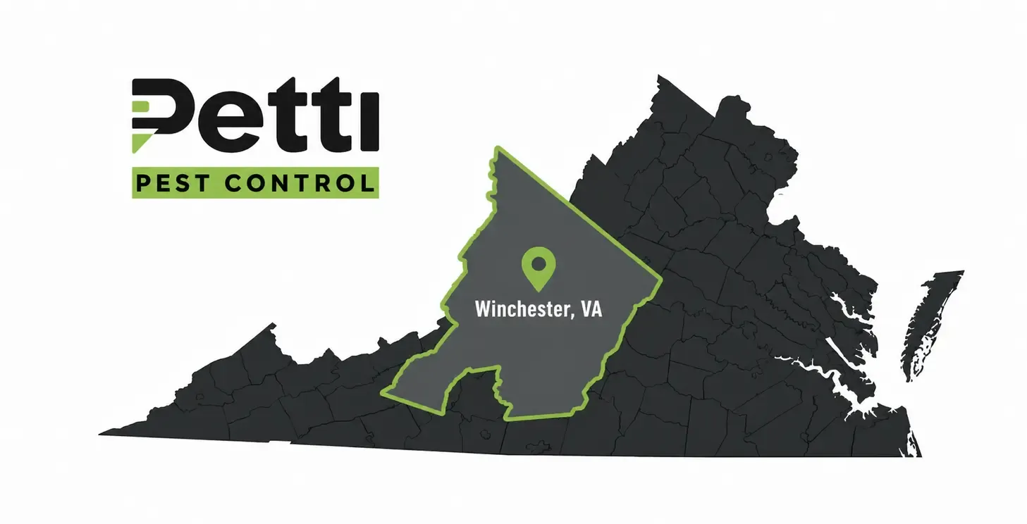 Winchester service area